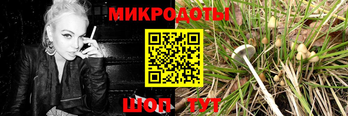 Дзержинск  купить наркоту  Вход с VPN  Галлюциногенные грибы мухоморы 